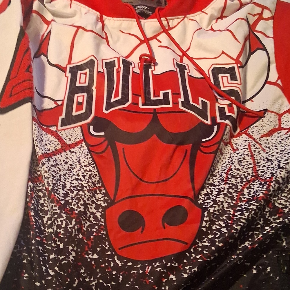 clearence from $400 Bulls Red and White hoodie - Picture 3 of 16